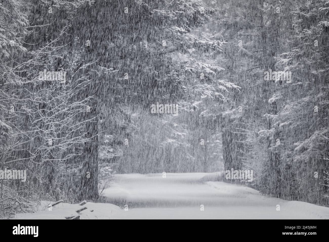 Dieses Bild wurde während eines Schneesturms in der späten Saison am Toft Point aufgenommen. Eine nationale historische Stätte in der Nähe von Baileys Harbour in Door County Wisconsin. Stockfoto