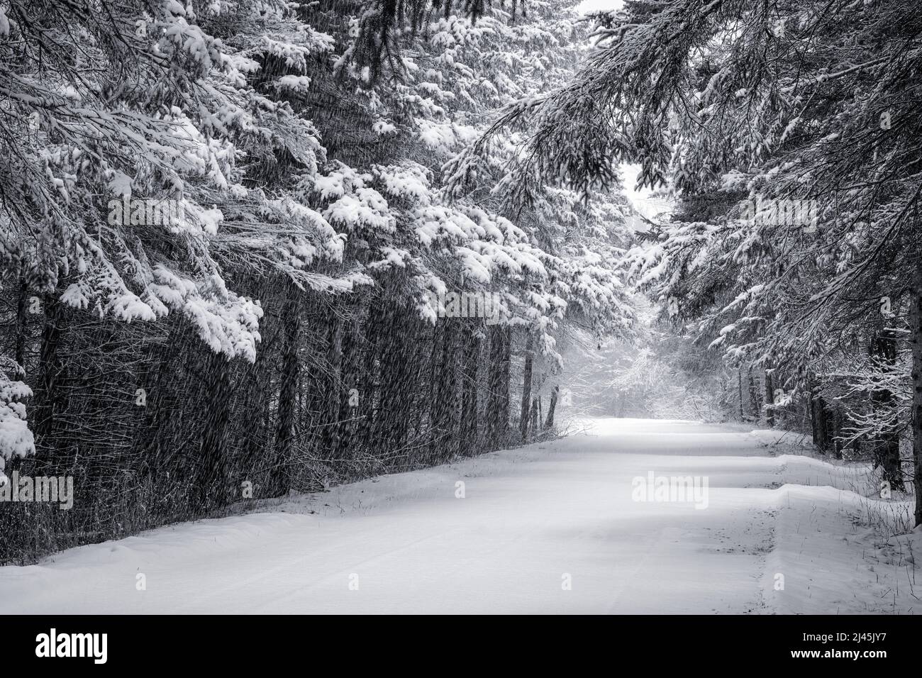 Dieses Bild wurde während eines Schneesturms in der späten Saison am Toft Point aufgenommen. Eine nationale historische Stätte in der Nähe von Baileys Harbour in Door County Wisconsin. Stockfoto