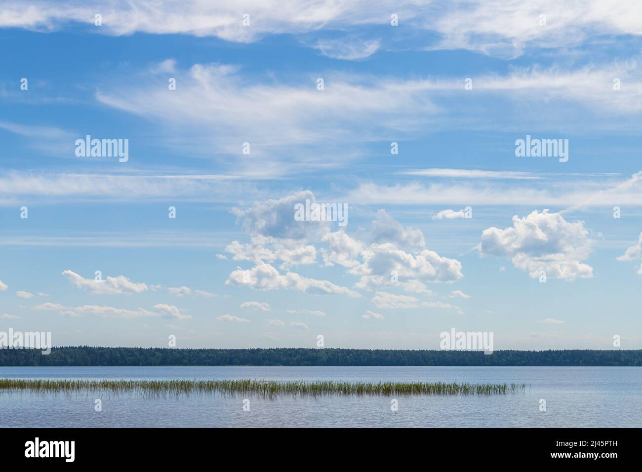 Sommerlandschaft mit noch See unter bewölktem Himmel an einem sonnigen Tag. Natürliches Hintergrundfoto Stockfoto