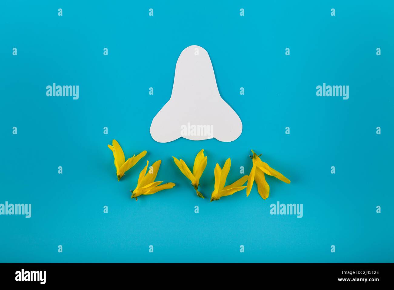 Papiersilhouette einer Nase und Frühlingsblumen auf blauem Hintergrund. Saisonales Allergiekonzept. Flach legen, für Text platzieren. Stockfoto