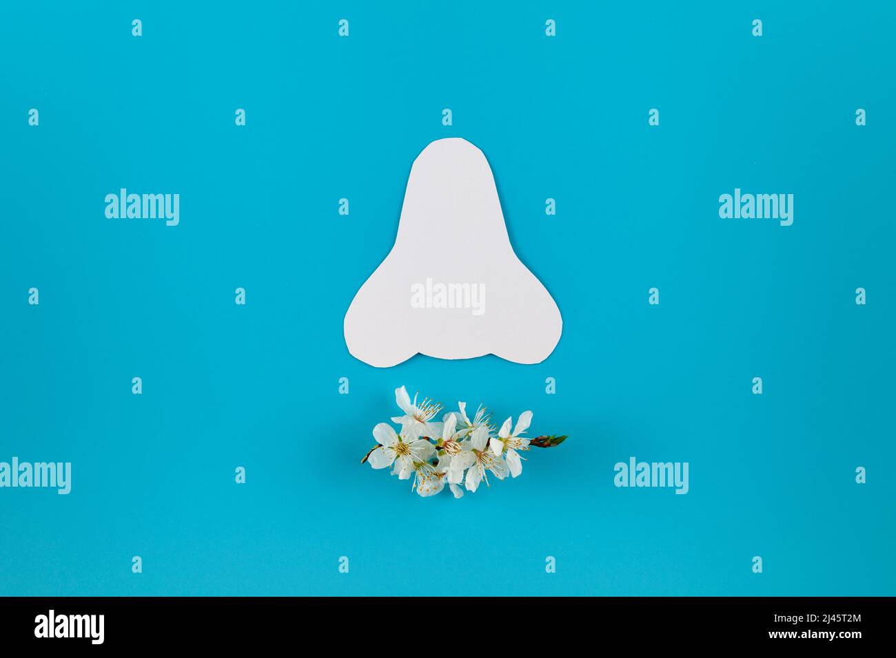 Papiersilhouette einer Nase und Frühlingsblumen auf blauem Hintergrund. Saisonales Allergiekonzept. Flach legen, für Text platzieren. Stockfoto