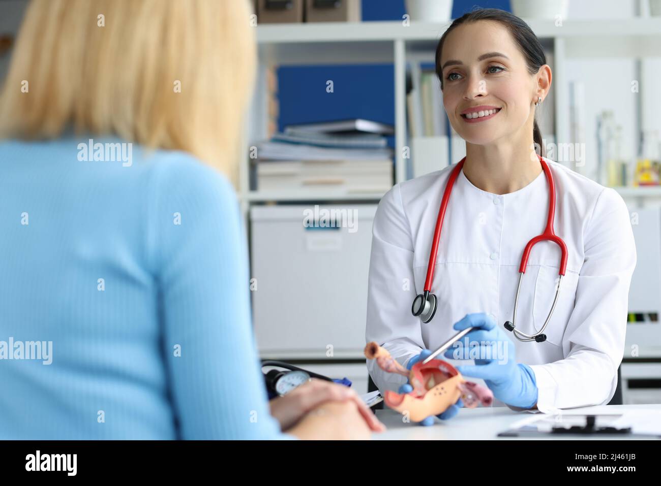 Gynäkologe hält Modell des weiblichen Fortpflanzungssystems der Gebärmutter und konsultiert den Patienten Stockfoto