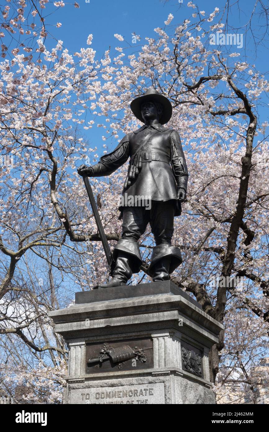 Die Statue auf dem Pilgrim Hill ist im Frühling von blühenden Yoshino-Kirschbäumen umgeben, New York City, USA 2022 Stockfoto