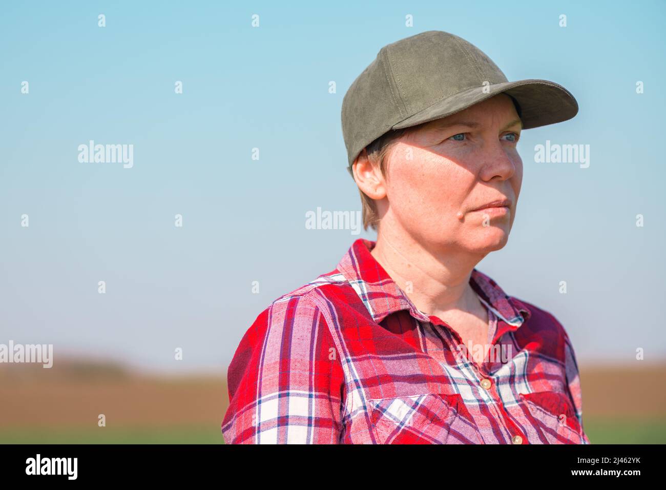 Kopfschuss einer Farmerin auf einem kultivierten Weizensämlingfeld, einer Farmerin mit kariertem Hemd und Baseballmütze Stockfoto
