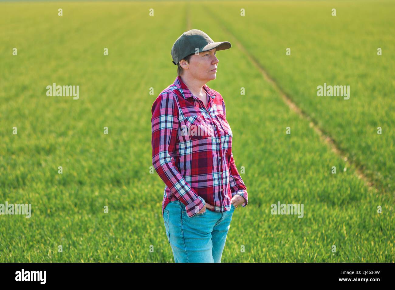 Porträt einer Bäuerin auf einem kultivierten Weizensämlingsfeld, einer Landarbeiterin mit kariertem Hemd und Baseballmütze Stockfoto