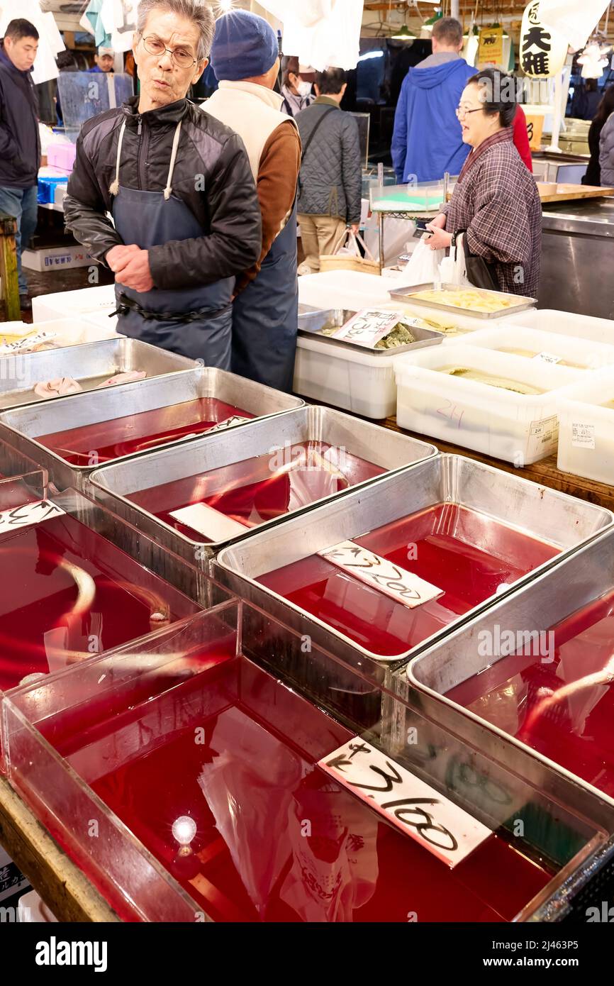 Japan. Tokio. Der Fischmarkt Stockfoto