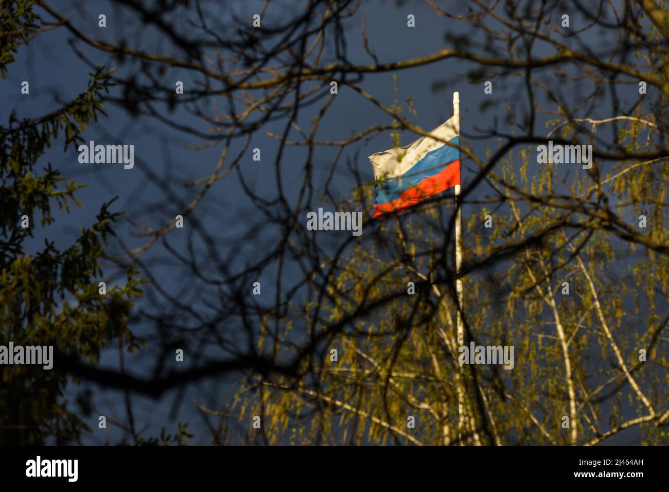 Russian flag on a pole waving in the wind, seen through many tree branches, with menacing rainy clouds in the background. Stockfoto
