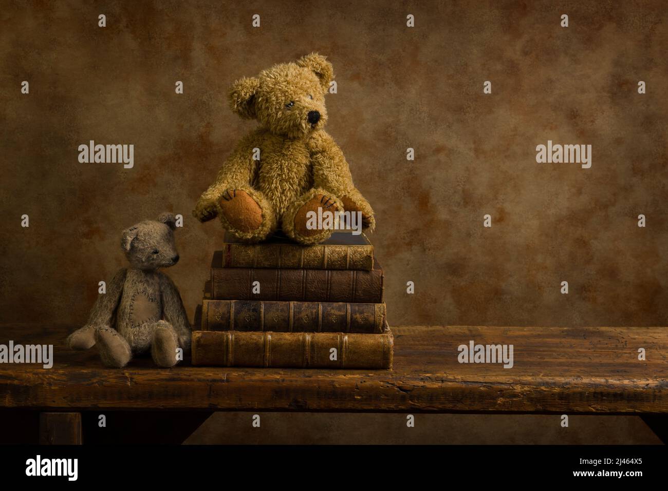 Zwei Teddybären und alte verwitterte Bücher auf einem rustikalen alten Holzregal. Dies ist für digitales Compositing geeignet. Stockfoto