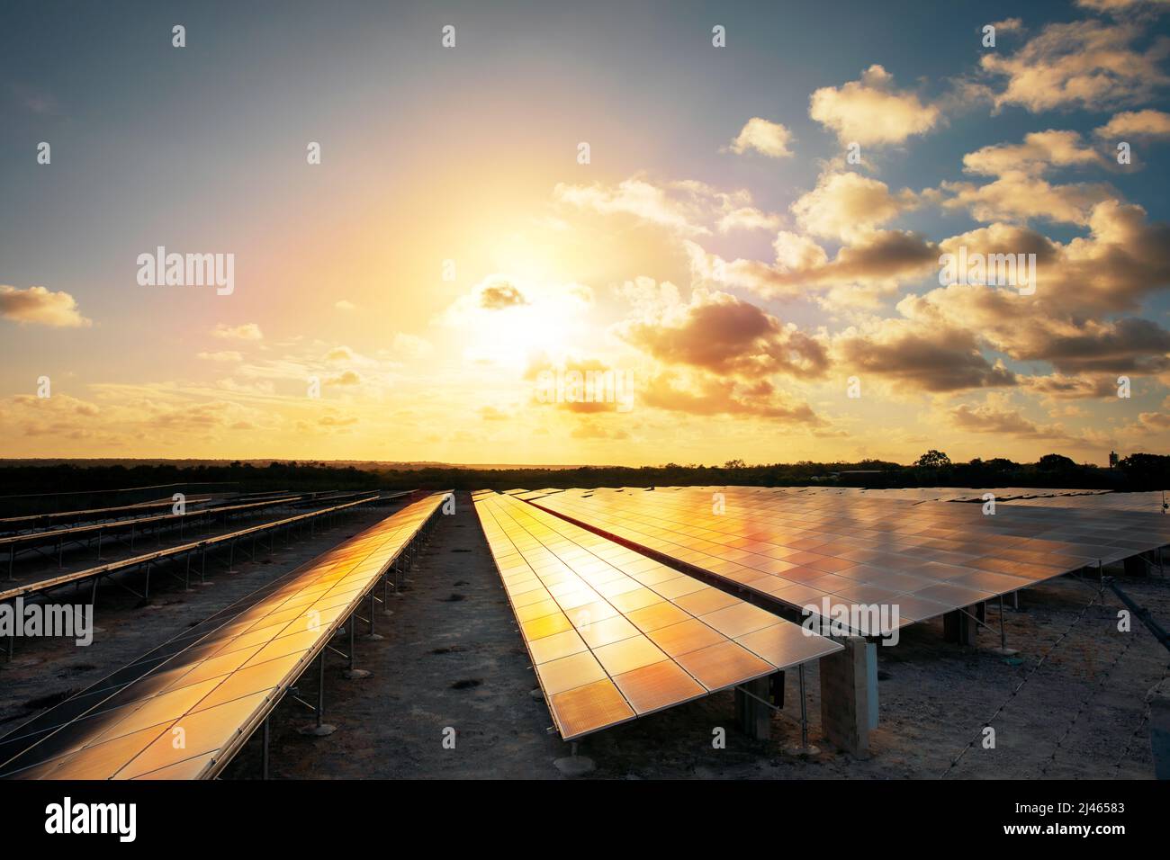 Solarzellen auf dem Hintergrund der untergehenden Sonne. Alternative Energiequellen, umweltfreundliche Energie. Stockfoto