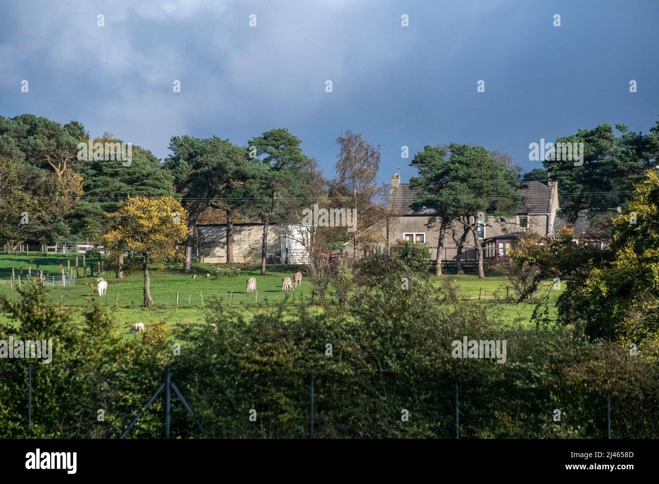 South Lanarkshire, Schottland, 24.. Oktober 2021: Ein altes Haus auf dem Land Stockfoto