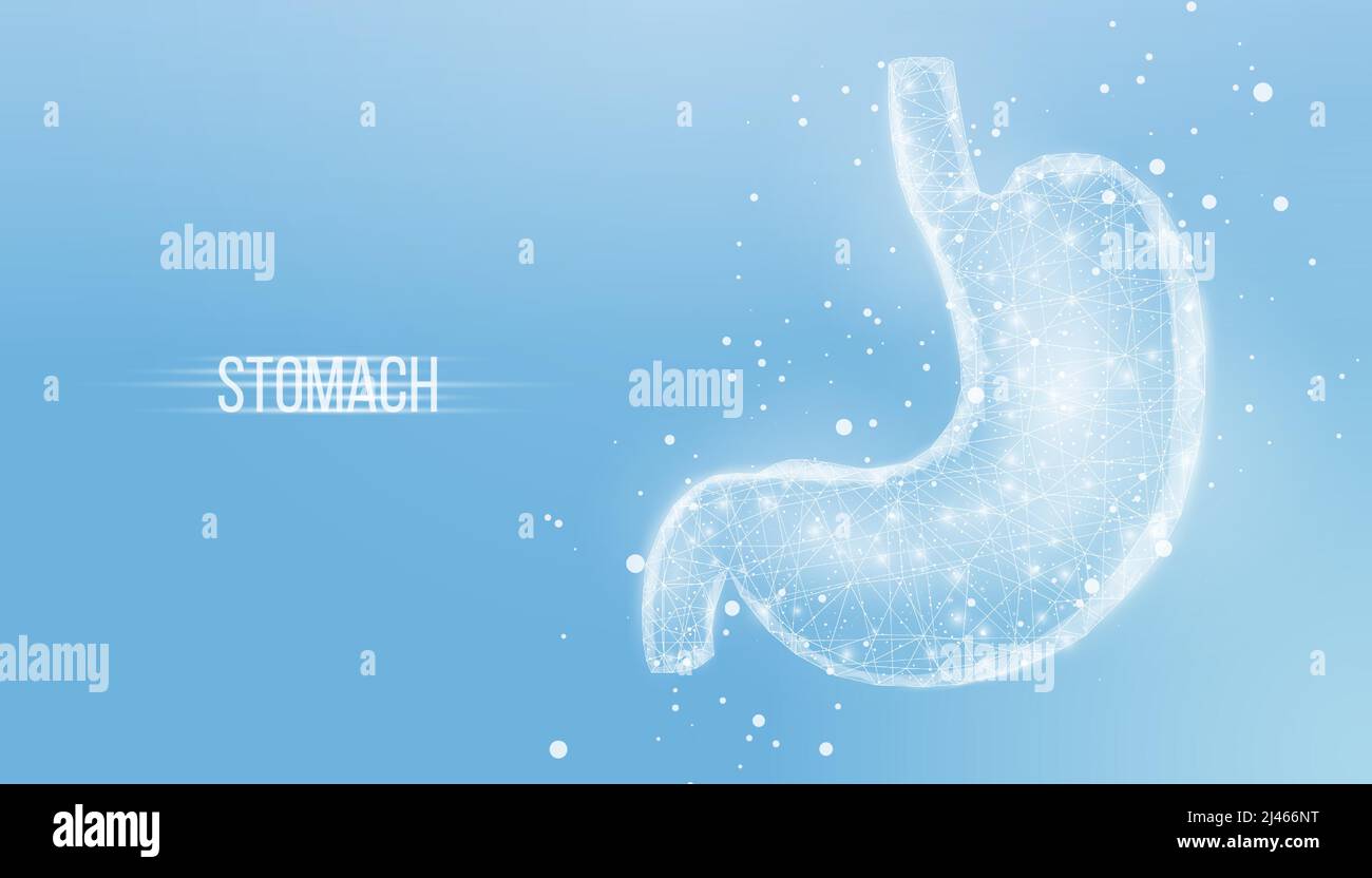 Menschlicher Magen. Drahtmodell mit geringer Poly-Optik. Konzept für die medizinische Behandlung des Verdauungssystems. Abstrakte moderne 3D Vektor-Illustration auf blauem Hintergrund Stock Vektor