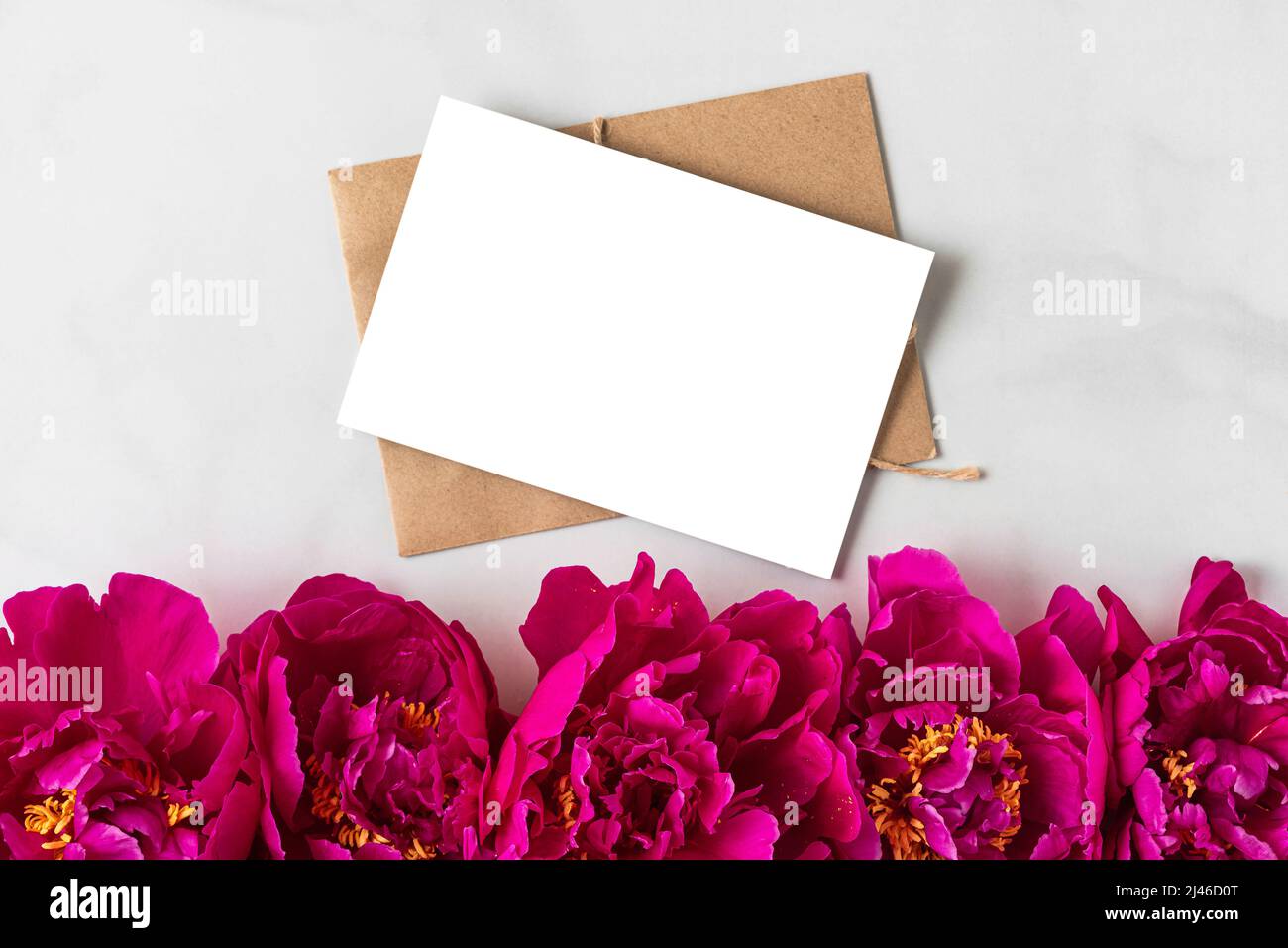 Leere Grußkarte mit rosa Pfingstrosen-Blumen auf weißem Hintergrund. Hochzeitseinladung. Modell. Flach liegend. Festlicher Hintergrund Stockfoto