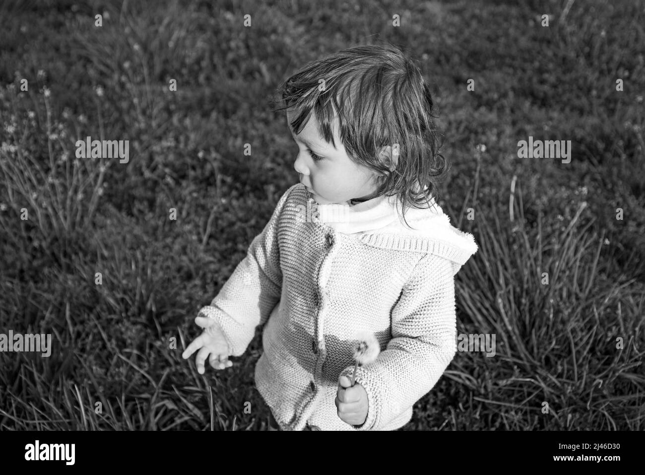 Portrait von niedlichen kleinen Jungen spielen auf dem Gras Stockfoto