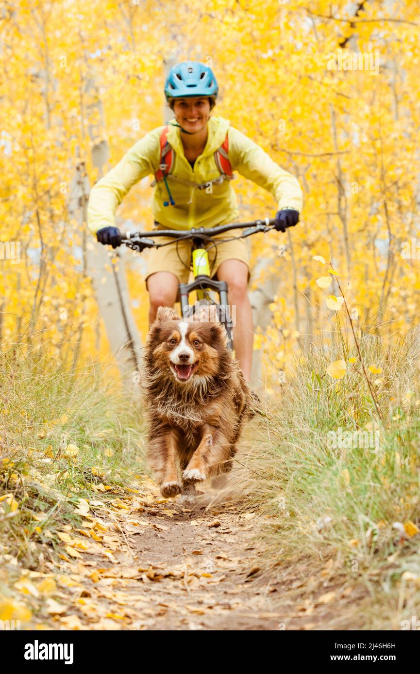 Junge Frau Mountainbiken mit ihrem Hund im Herbst Stockfoto