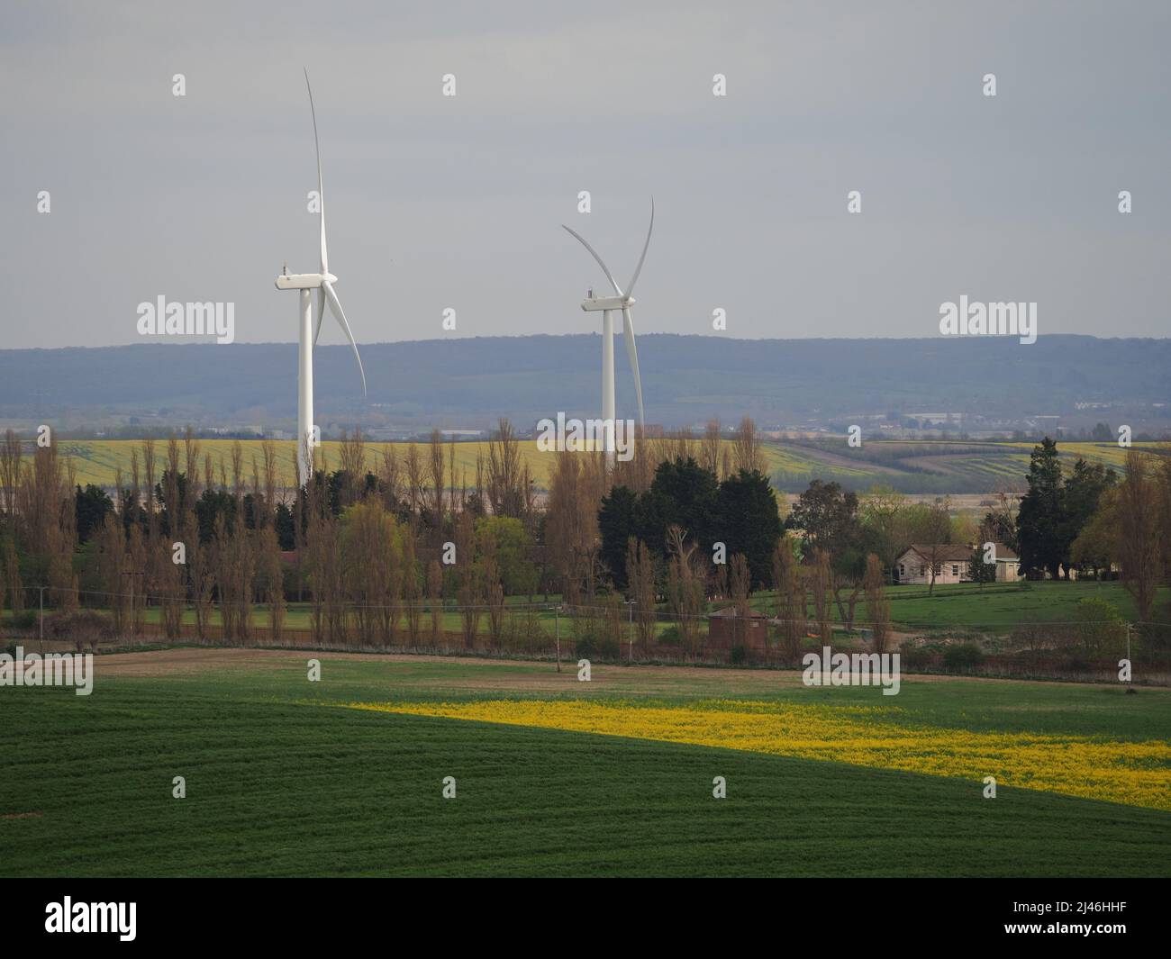 Eastchurch, Kent, Großbritannien. 12. April 2022. UK Wetter: Ein warmer und meist sonniger Nachmittag in Eastchurch, Kent, heute Nachmittag mit einigen Wolken am Horizont. Blick über die Landschaft der Isle of Sheppey mit farbenfrohen gelben Rapsfeldern in voller Blüte. Onshore-Windenergieanlagen in den Gefängnissen von Sheppey. Kredit: James Bell/Alamy Live Nachrichten Stockfoto