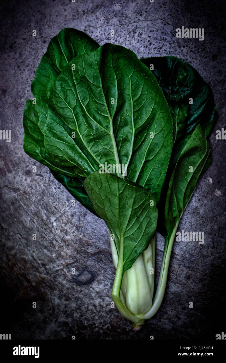 Asiatischer Gemüsepak Choy auf grauem Hintergrund Stockfoto