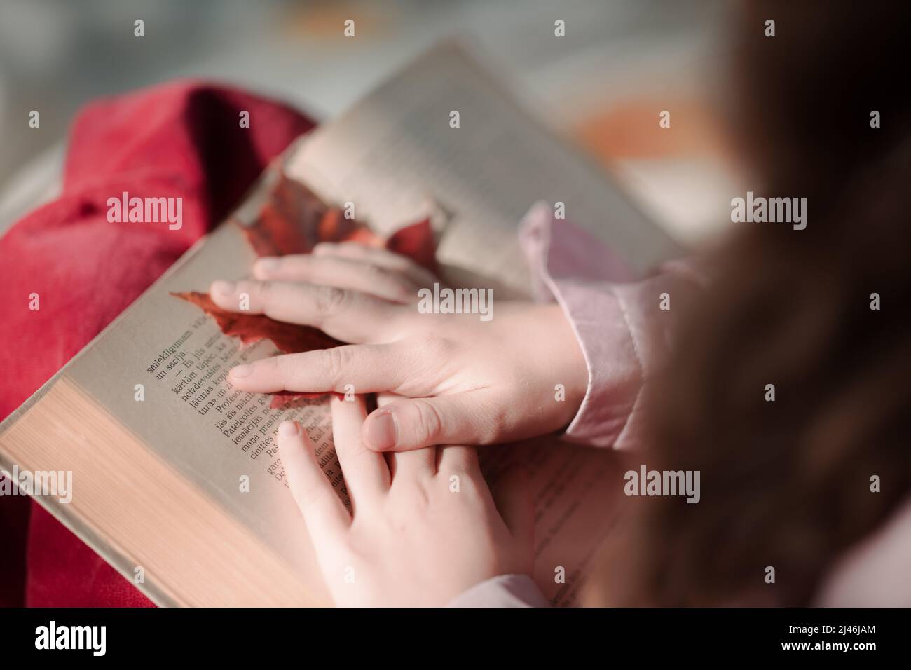 Das Mädchen liest ein Buch und hält ein rotes Ahornblatt in der Hand. Stockfoto
