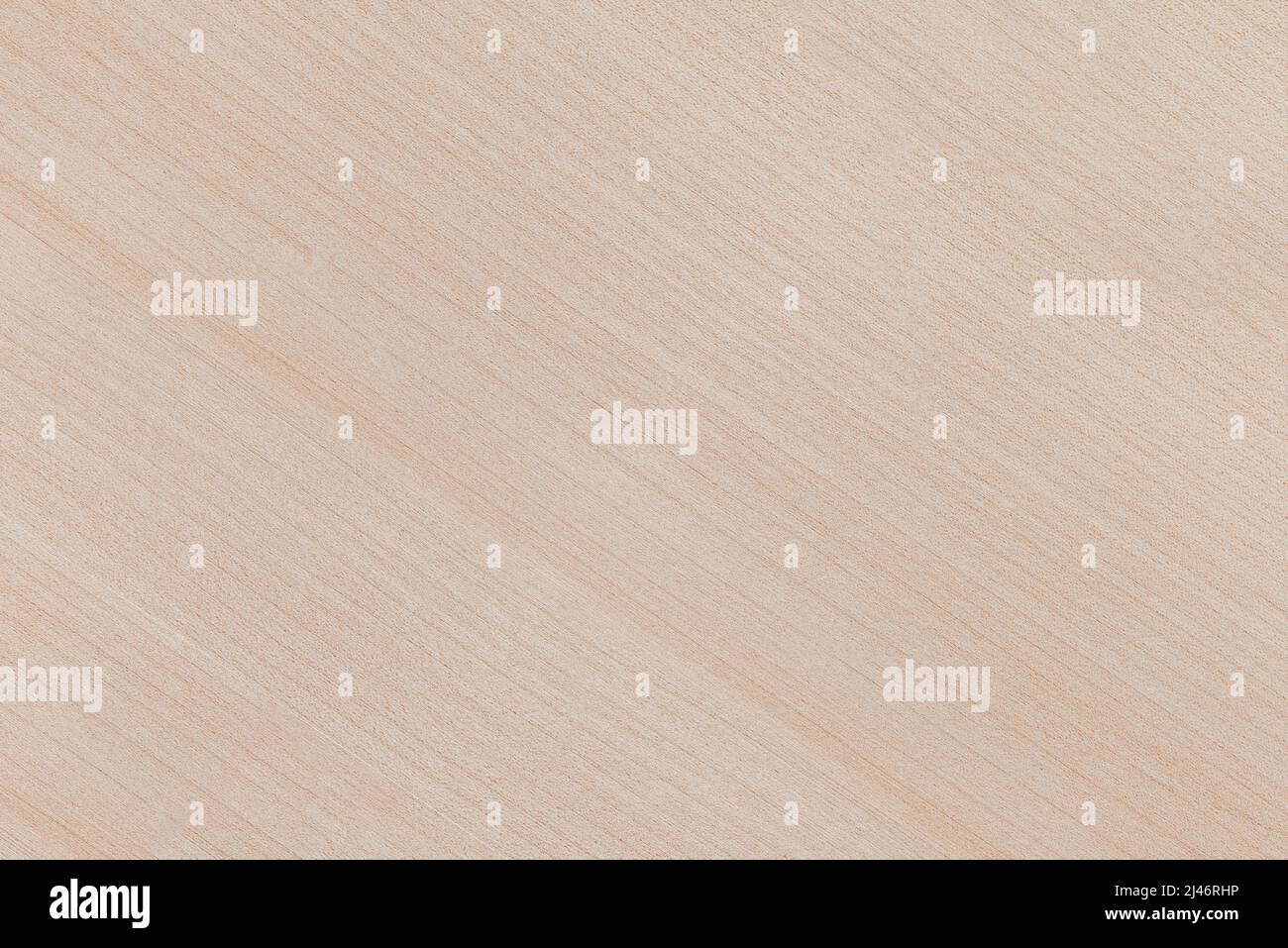 Die Textur des Birkenbretts. Hintergrund und Textur von hellem Holz. Brett aus natürlichem Holz Nahaufnahme. Stockfoto