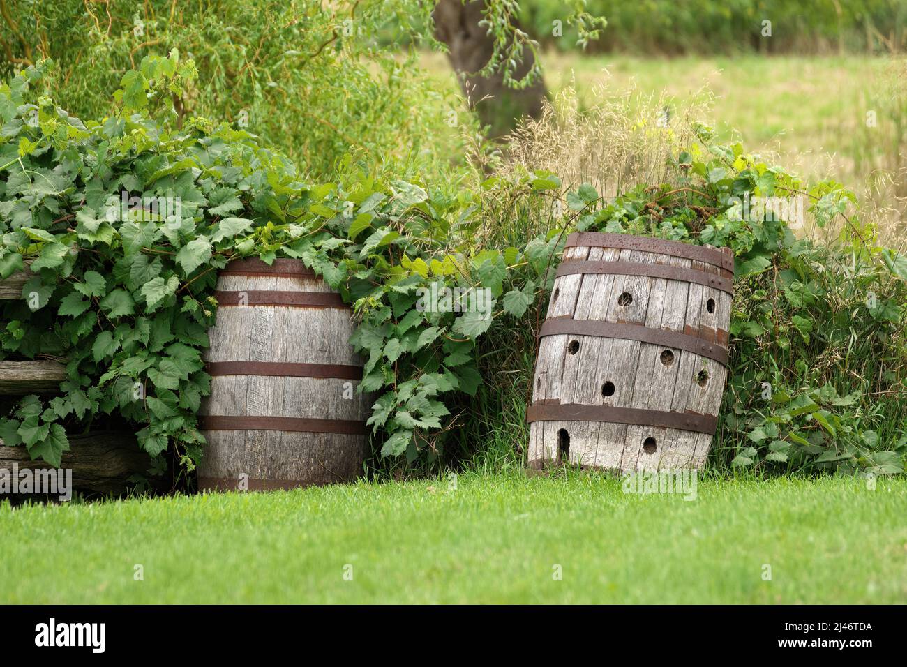 Whiskyfass aus holz Fotos und Bildmaterial in hoher Auflösung Alamy