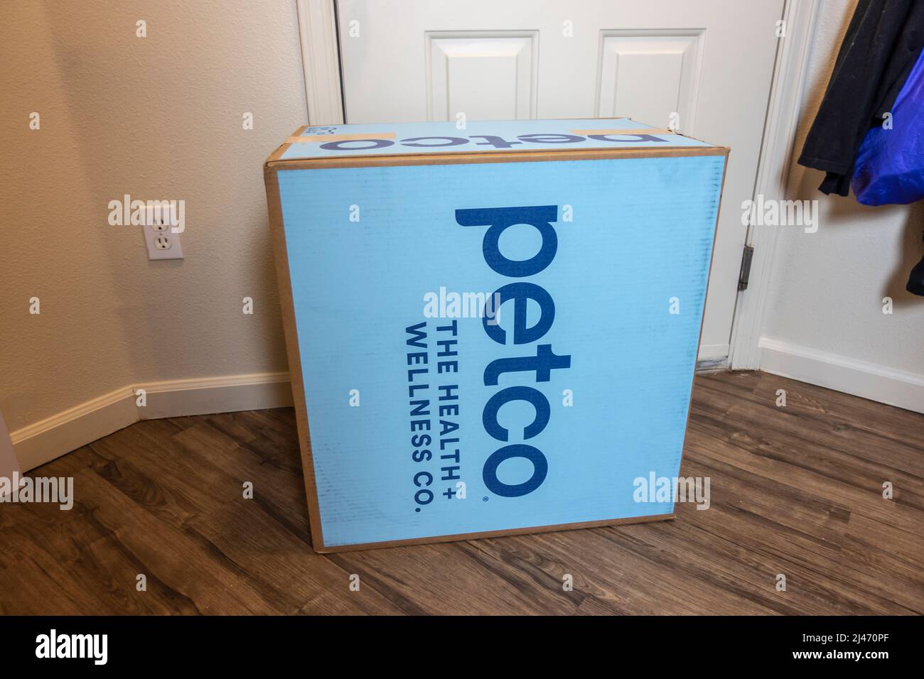 Seattle, WA USA - ca. April 2022: Schräge Ansicht eines großen Lieferpakets aus dem Jahr Petco.com in der Eingangstür eines Hauses. Stockfoto