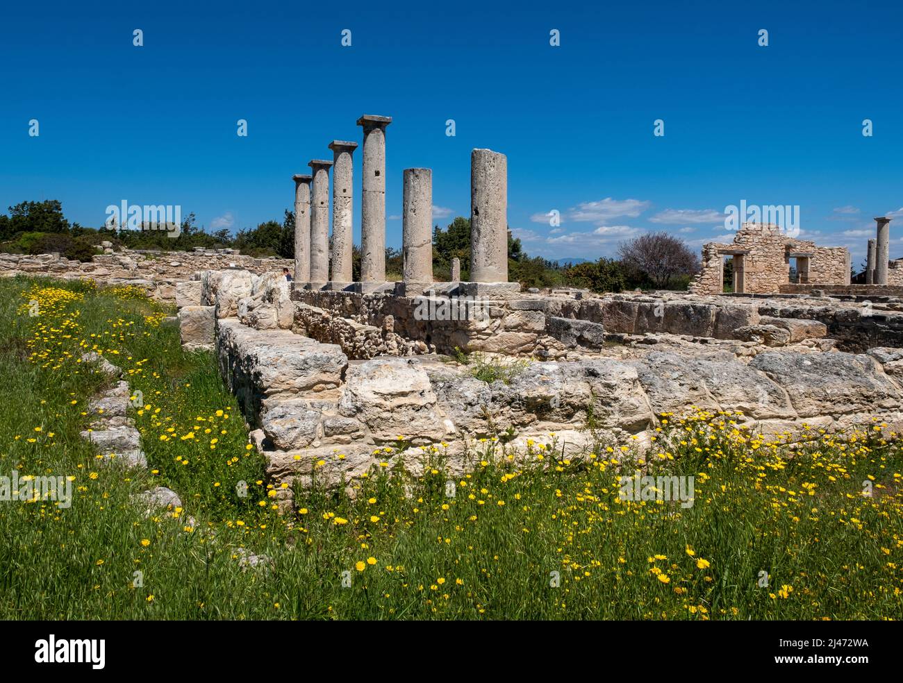 Säulen um die Schlafsäle im Heiligtum von Apollo Hylates, römische Stätte, Episkopi, Republik Zypern. Stockfoto