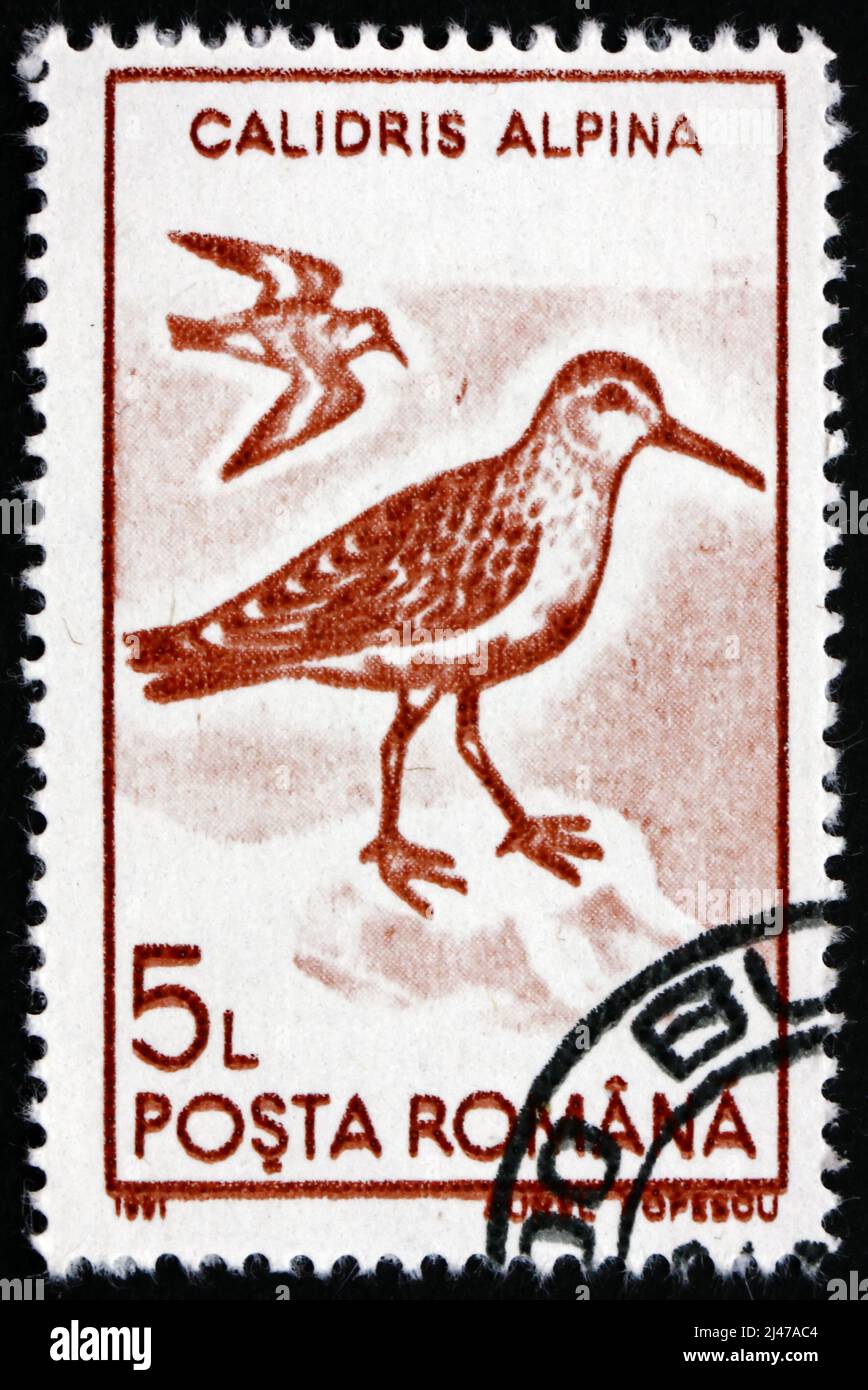 RUMÄNIEN - UM 1991: Eine in Rumänien gedruckte Briefmarke zeigt Dunlin, Calidris Alpina, Wader Bird, um 1991 Stockfoto