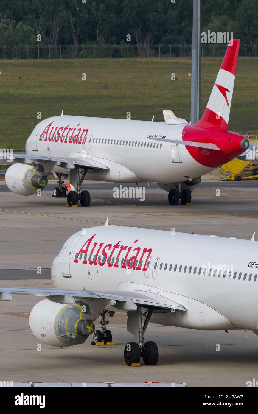 Flugzeugreihe der Austrian Airlines AUA auf der Rampe am Flugplatz Wien Schwechat geparkt Stockfoto