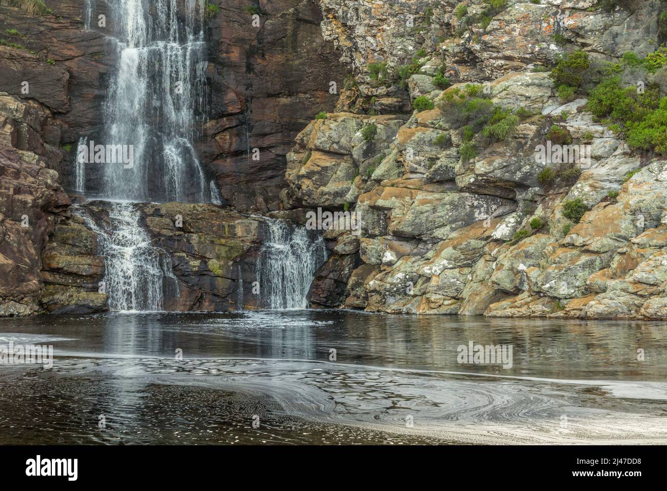 Ein Wasserfall am ersten Tag der Otter Trail Wanderung in Südafrika. Stockfoto