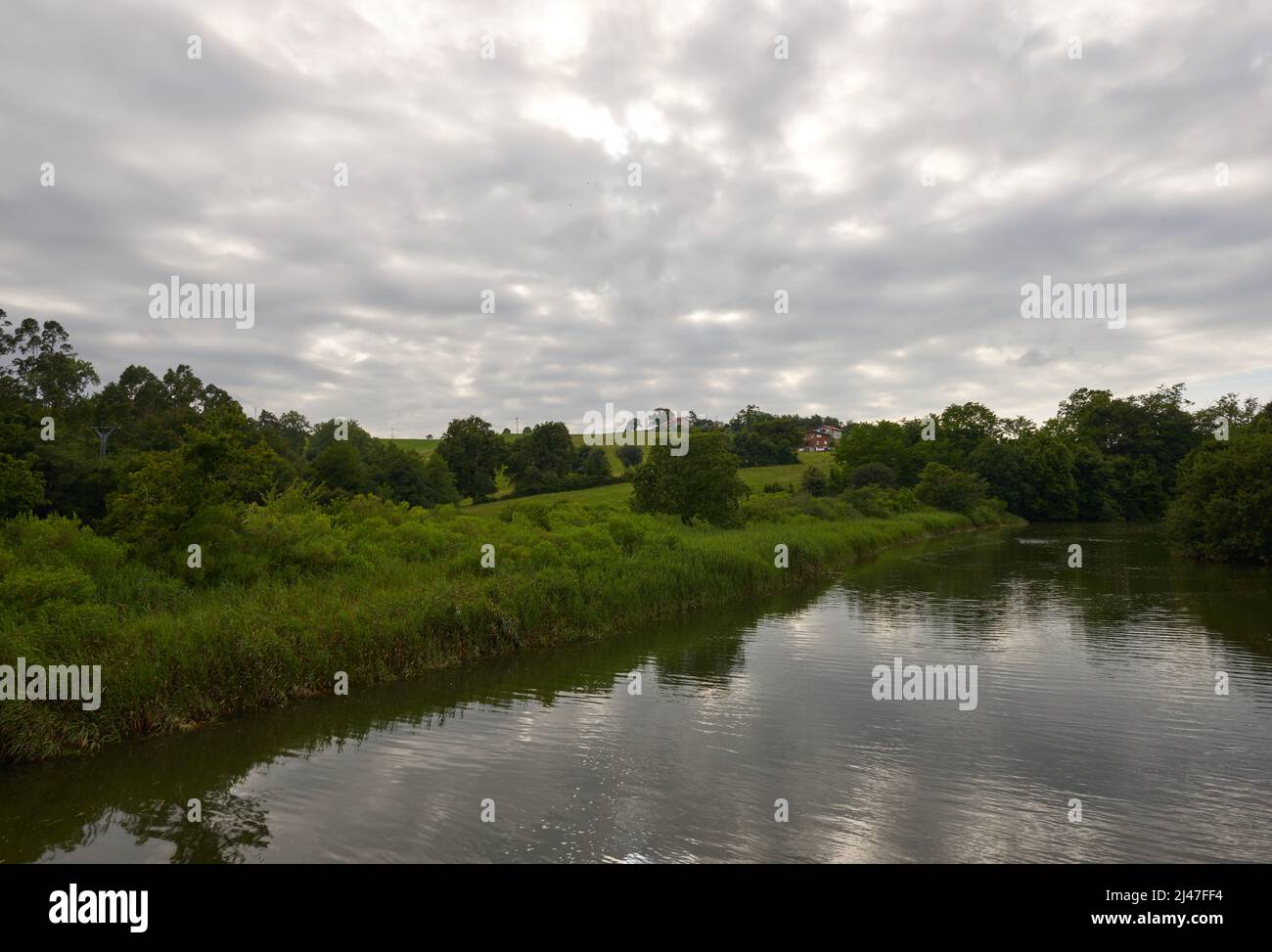 Ein wunderschöner Fluss, umgeben von üppiger Vegetation unter einem bewölkten Himmel. Stockfoto