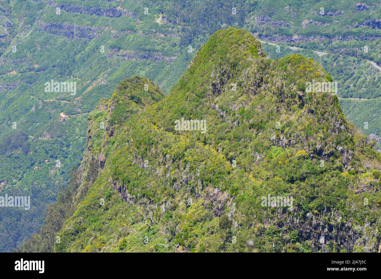 Boca da Encumeada Bergpass, Madeira Stockfoto