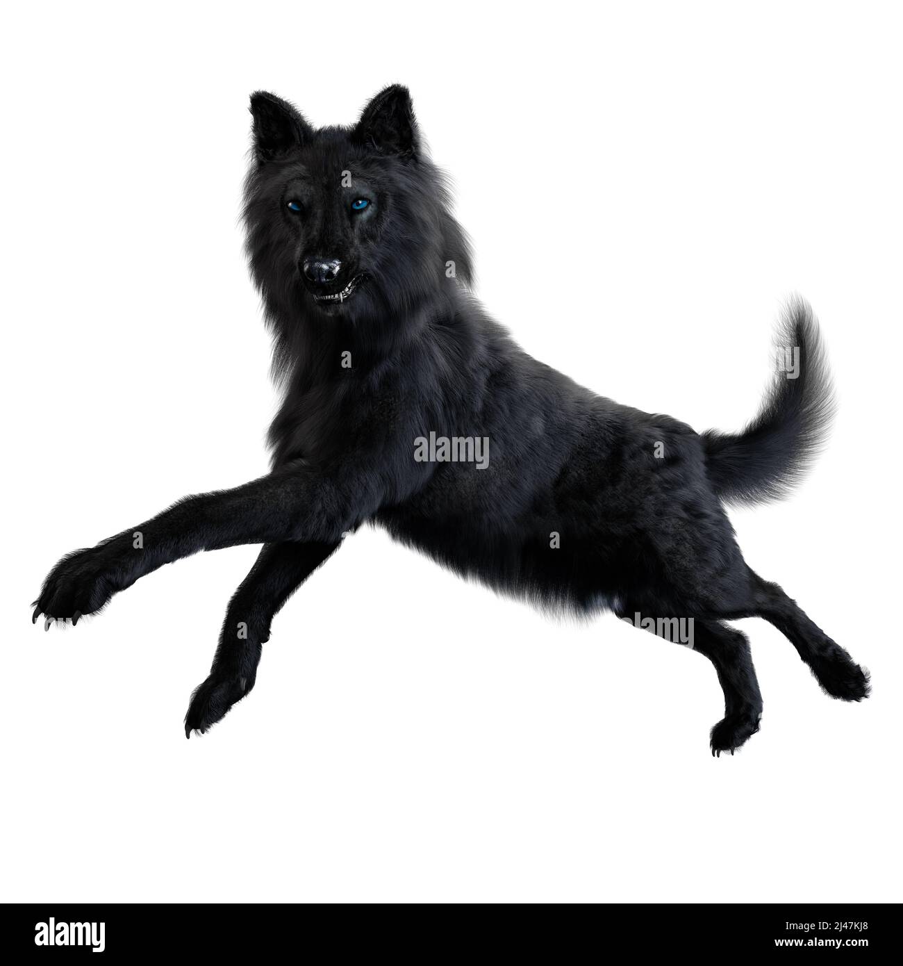 Dire Wolf auf isoliertem Hintergrund, 3D-Illustration, 3D-Rendering Stockfoto