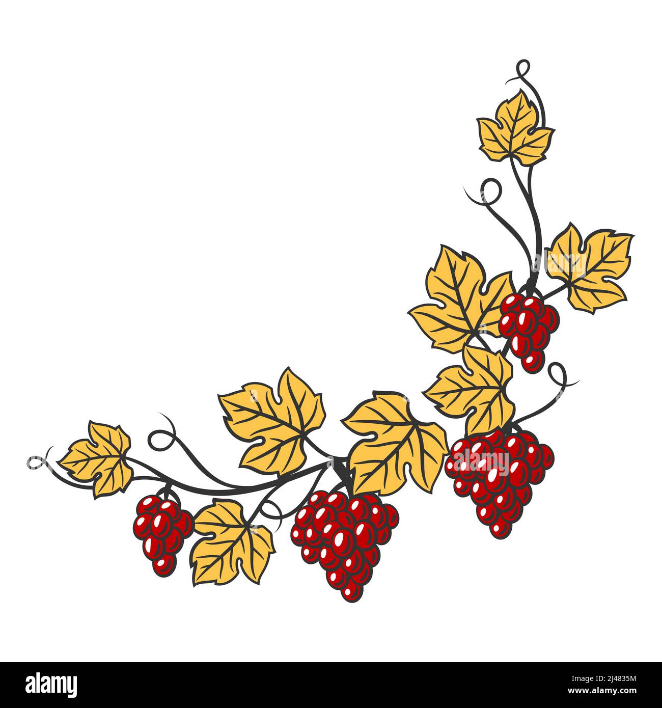 Rebe mit Blättern und Trauben. Bild der Weinkellerei für Restaurants und Bars. Stock Vektor