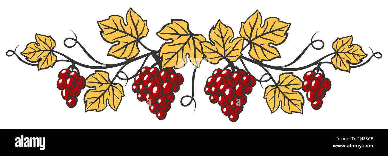 Illustration der Rebe mit Blättern und Trauben. Bild der Weinkellerei für Restaurants und Bars. Stock Vektor