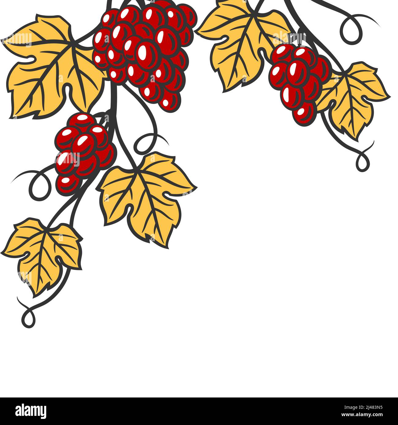Hintergrund der Rebe mit Blättern und Trauben. Bild der Weinkellerei für Restaurants und Bars. Stock Vektor