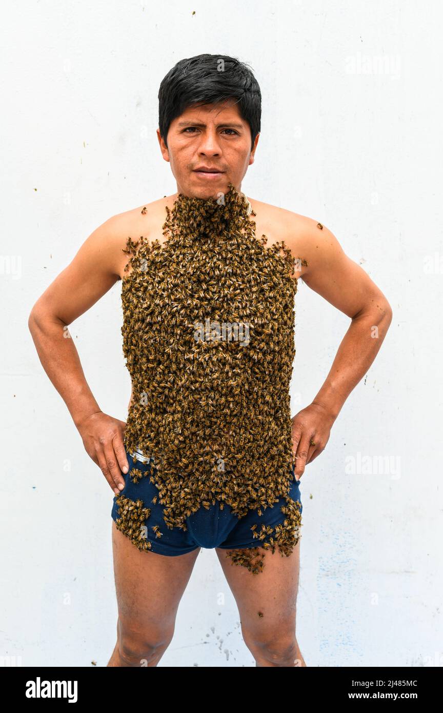 Der Mensch ist von vielen Bienen bedeckt Stockfoto