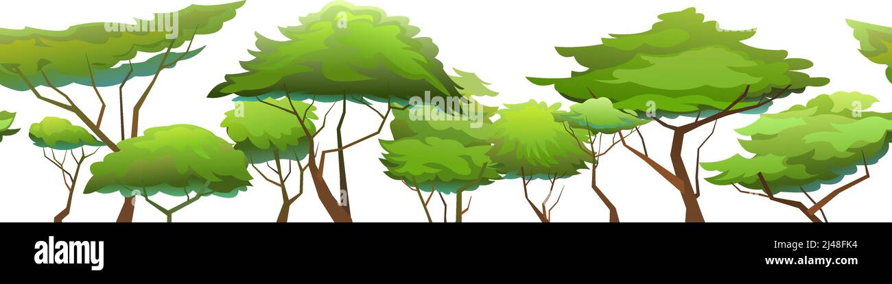 Afrikanische Landschaft. Nahtlose horizontale Darstellung. Isoliert auf weißem Hintergrund. Akazienbäume. Afrika Savanne Pflanzen. Vektor Stock Vektor