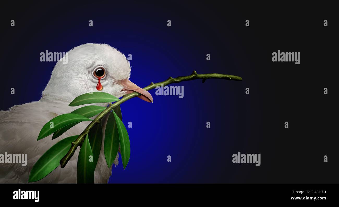 Kriegstragödie Konzept wie eine traurige weiße Taube hält einen Olivenzweig weinen eine Träne des Blutes als tragisches Symbol des Schmerzes der Gewalt und internationale. Stockfoto