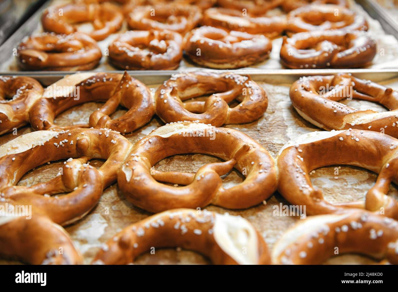 Hochwinkelset von leckeren deutschen Brotsorten Brezeln mit Samen bestreut auf Backbleche gelegt Stockfoto