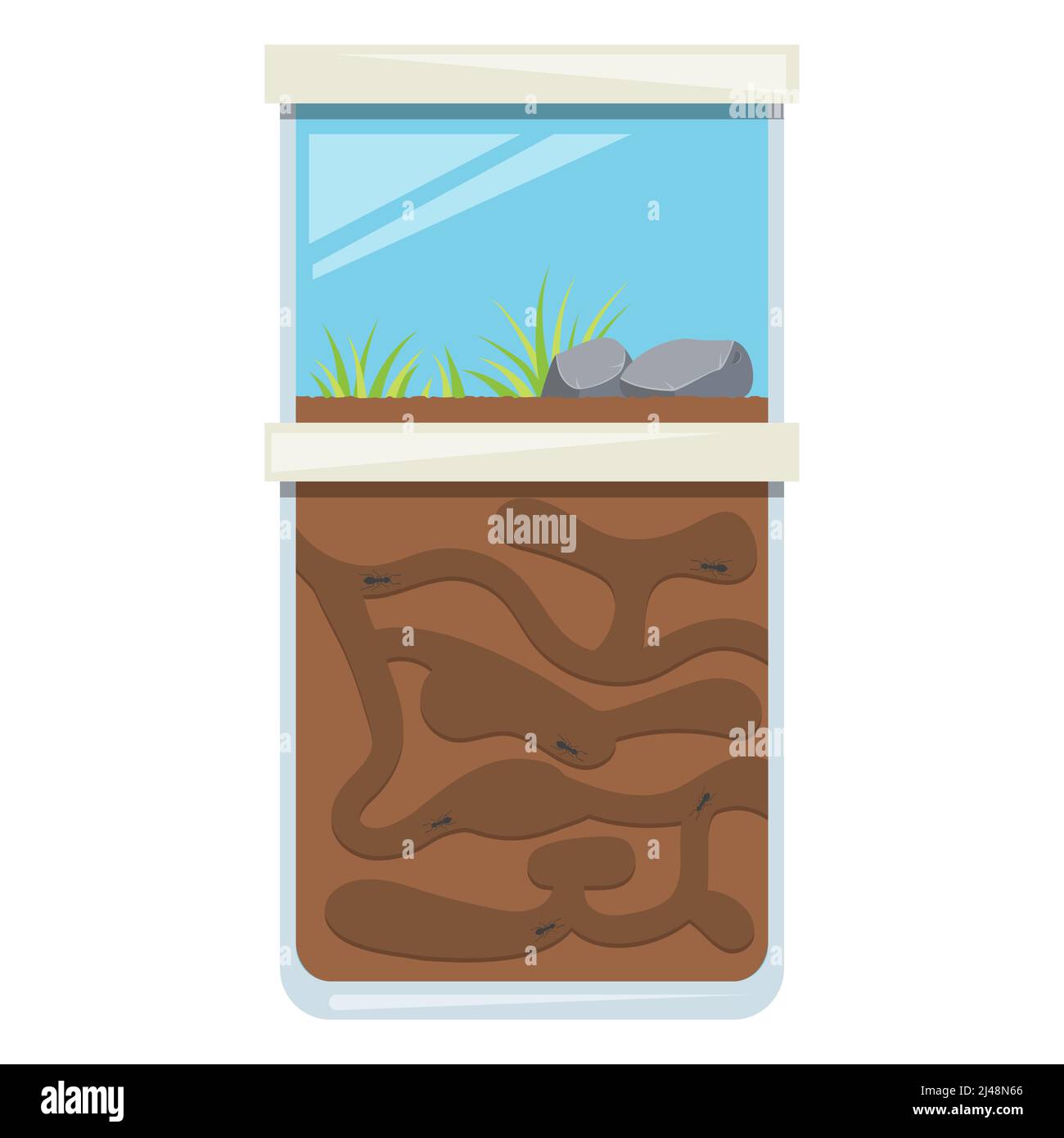 Ameisenfarm Spielzeug. Tunnel für die Kolonie von Insekten. Heim-Terrarium aus Glas. Vektorgrafik. Stock Vektor