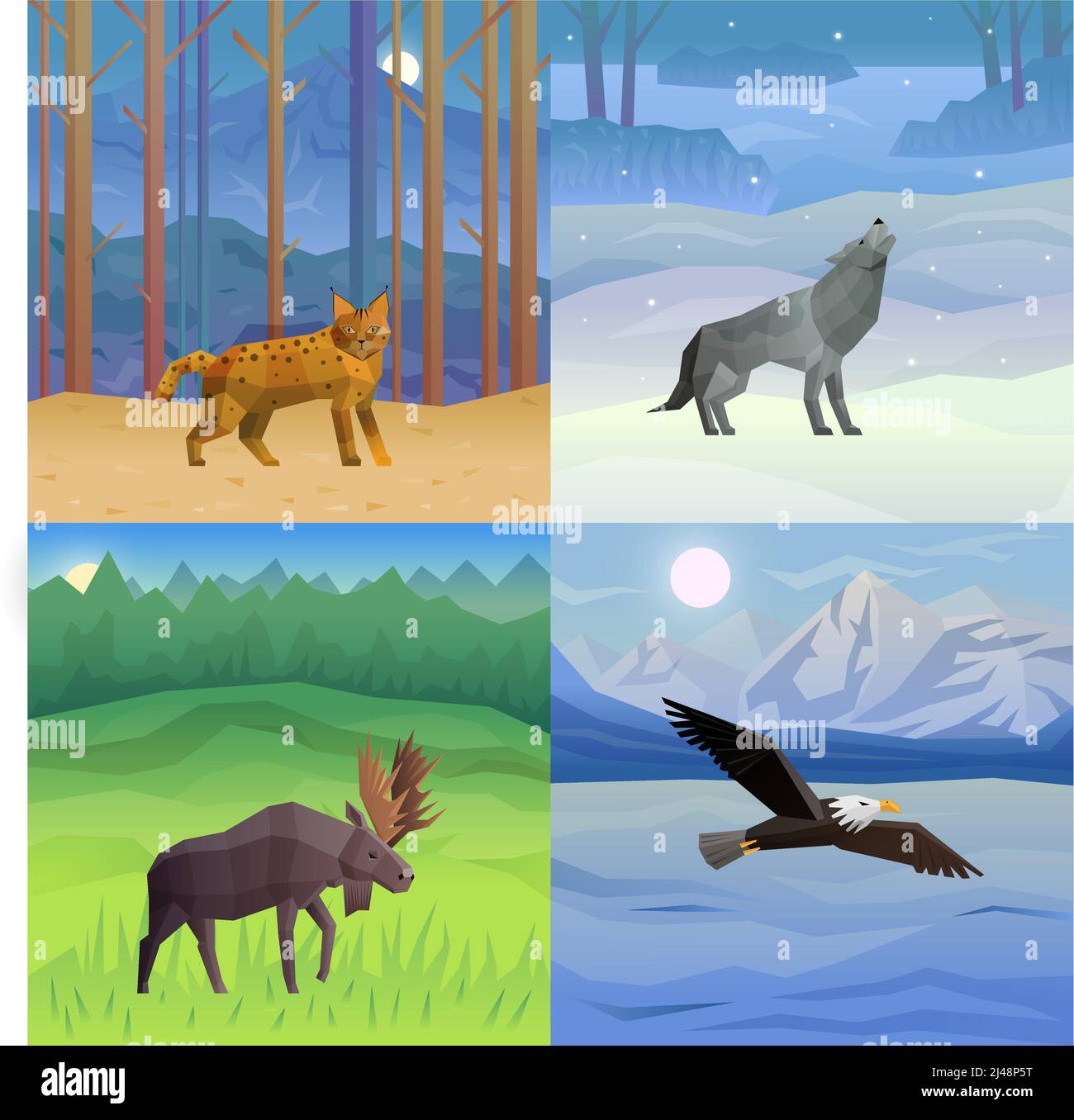 Polygonaler 2x2 Hintergrund mit wilden Tieren und Vögeln in ihren Habitat Set isolierte Vektor-Illustration Stock Vektor