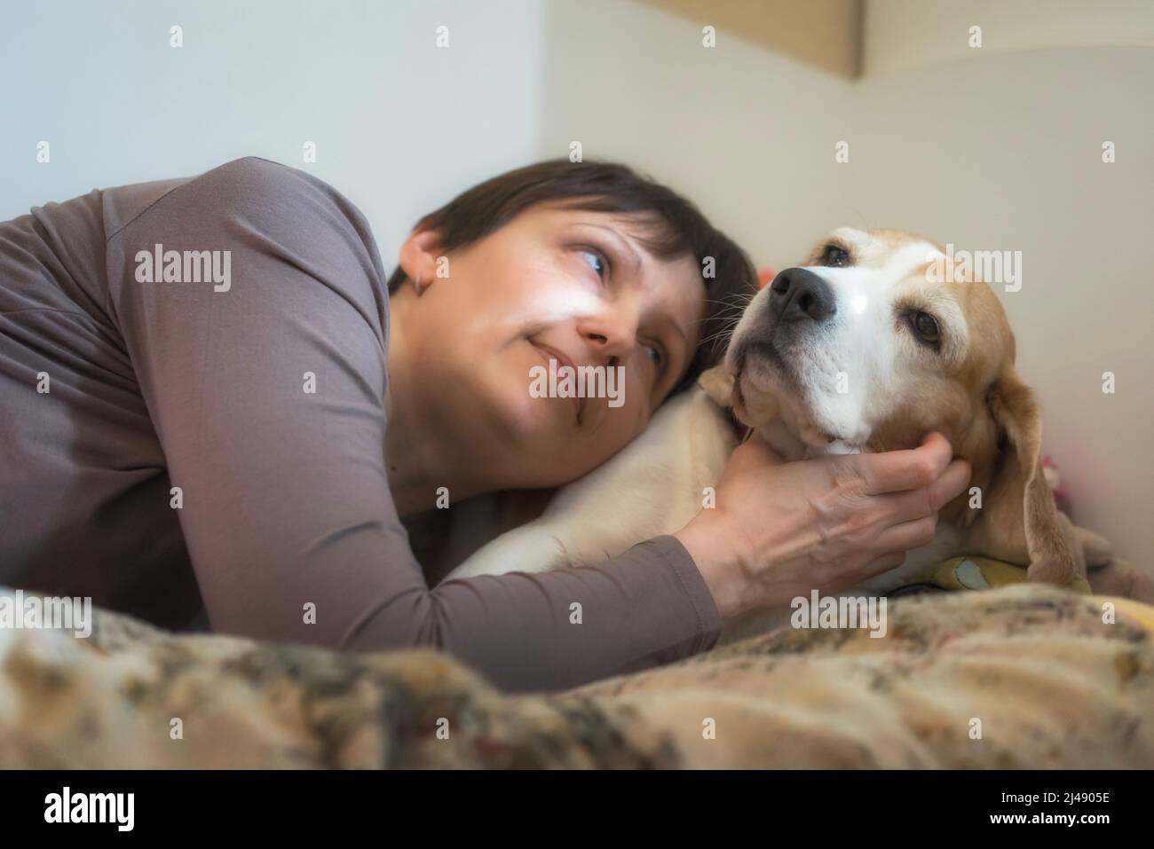 Frau liegt auf dem Sofa und schaut auf den Beagle-Hund. Stockfoto