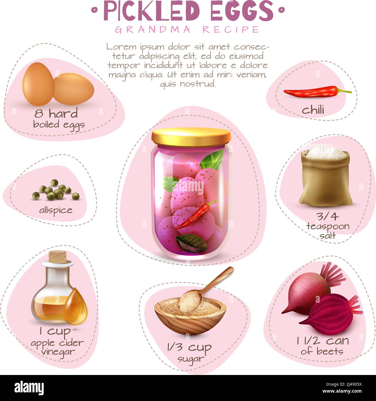 Dosenfutter Poster mit eingelegten Eiern Oma Rezept mit Zutaten Vektorgrafik auf weißem Hintergrund Stock Vektor