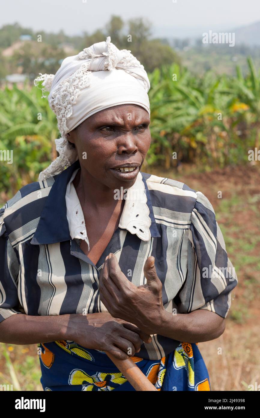 Epiphanie Mukamusoni, 60, Witwe mit zwei erwachsenen Töchtern und einem Enkelkind, Mbazi Sector, Huye. Epiphanie bekam eine Kuh aus dem ARDI-Programm. Die Gülle der Kuh hat ihr zu einer besseren Ernte verholfen. Die Beteiligung an dem Programm hat auch einen engeren Kontakt mit den Menschen gebracht. Foto von Mike Goldwater Stockfoto