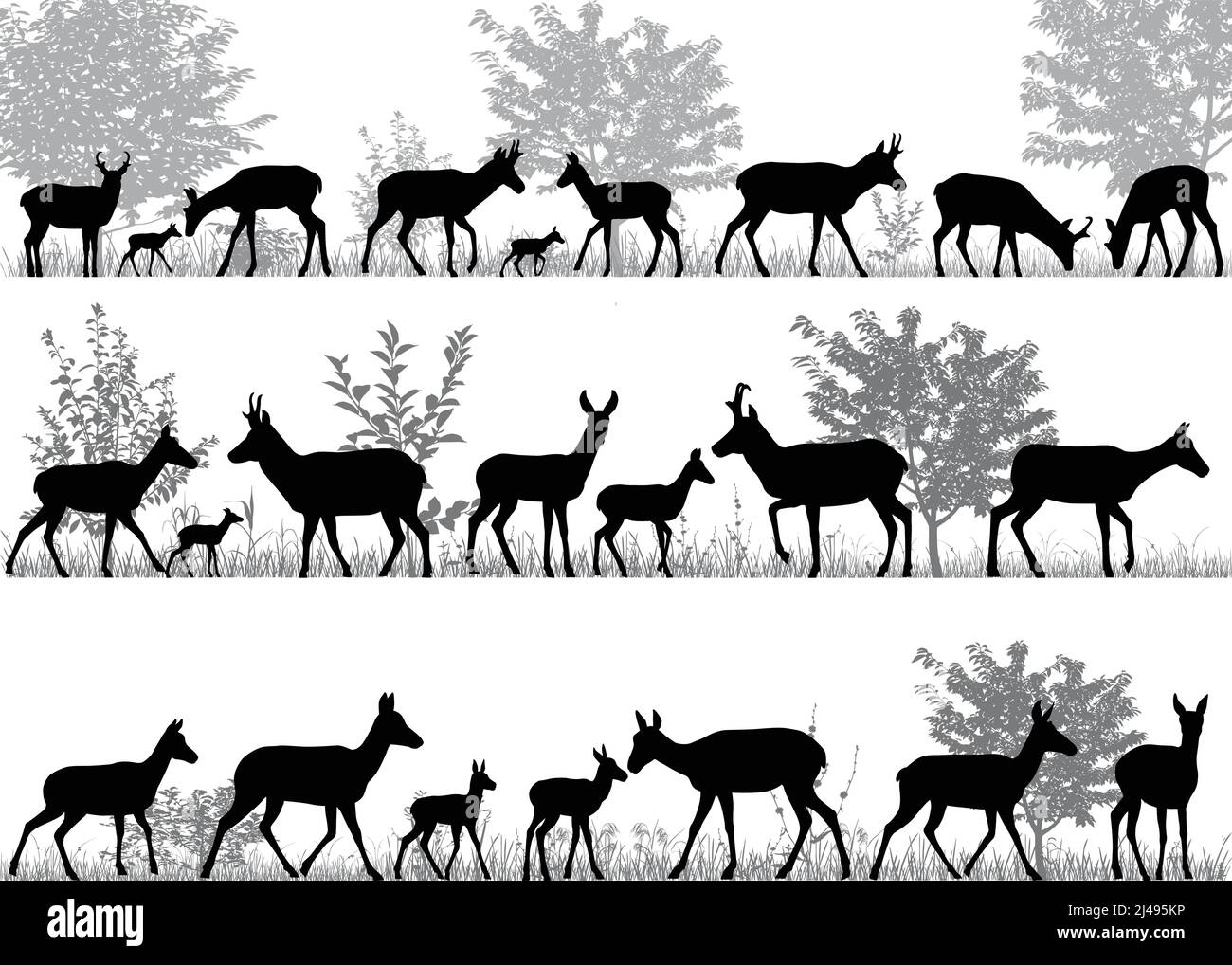 Silhouetten von Pronghorn-Antilopen und ihren Jungen im Freien Stock Vektor