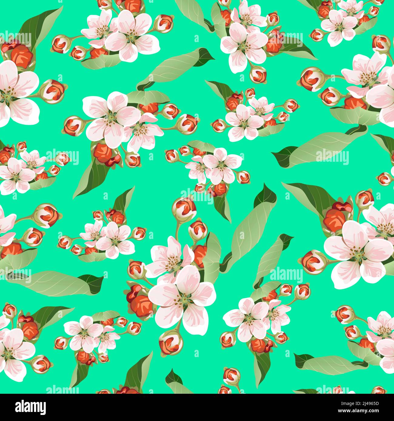 Nahtlose Vektor-Muster blühenden Apfelbaum Hintergrund rosa Apfelblüten auf einem grünen Hintergrund Stock Vektor