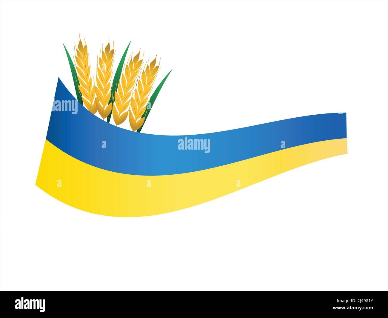 Abbildung der ukrainischen Flagge in der Nähe von Weizenspiketten, Stockbild Stock Vektor
