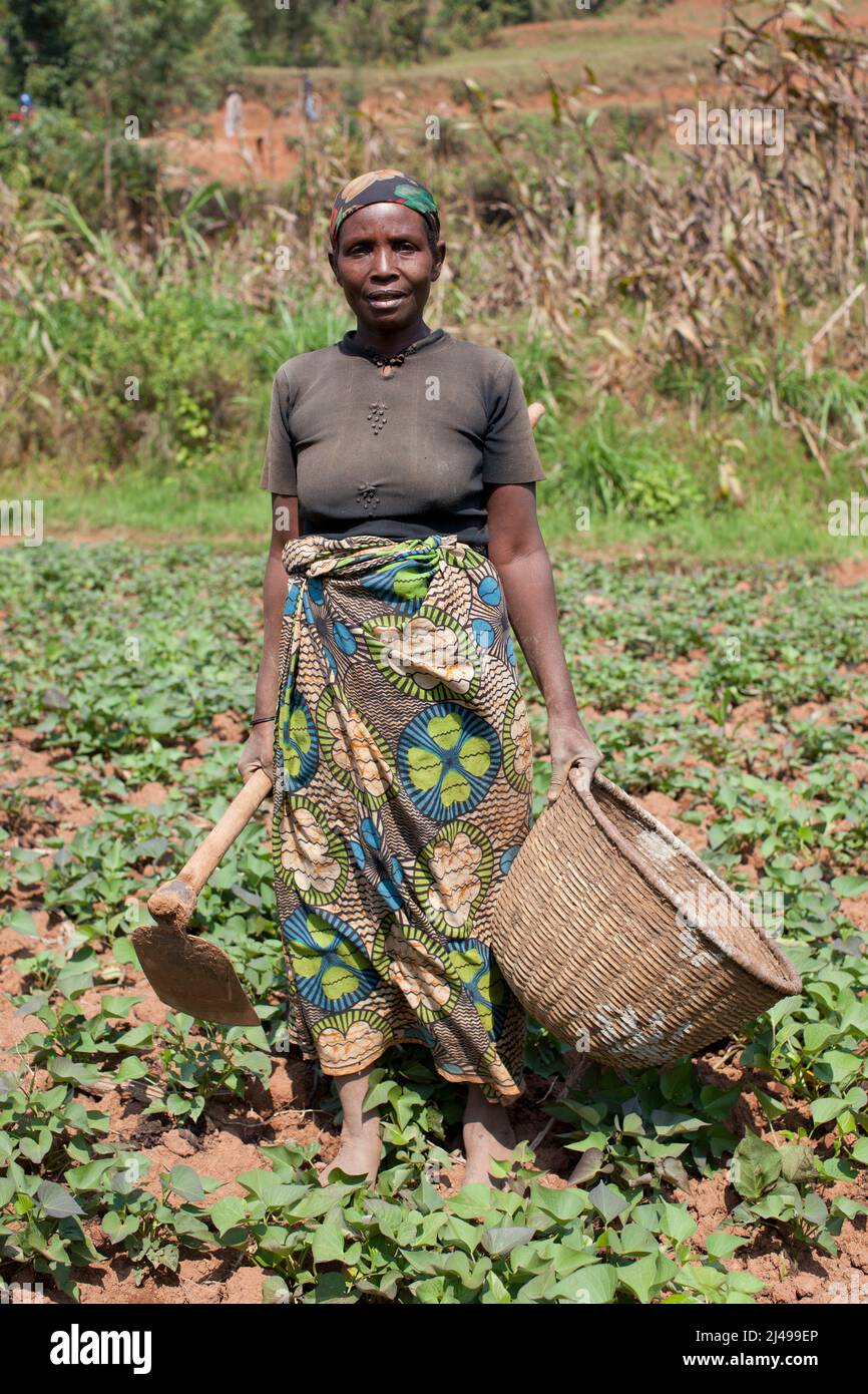 Karita Kayirangwa, 61, Präsidentin der Kooperative Abadasubirinyuma, Dorf Kavumo, Rusenge-Zelle, Rusenge-Sektor, Bezirk Nyaruguru, Südprovinz. Sie ist eine Witwe, die 1987 ihren Mann verlor. Sie lebt mit ihrer zuletzt geborenen Tochter, Rolance Mukankusi, 24, zwei Kindern ihrer erstgeborenen Tochter und einem Kind ihres Neffen, dessen Eltern an Hilfsmitteln starben. Foto von Mike Goldwater Stockfoto