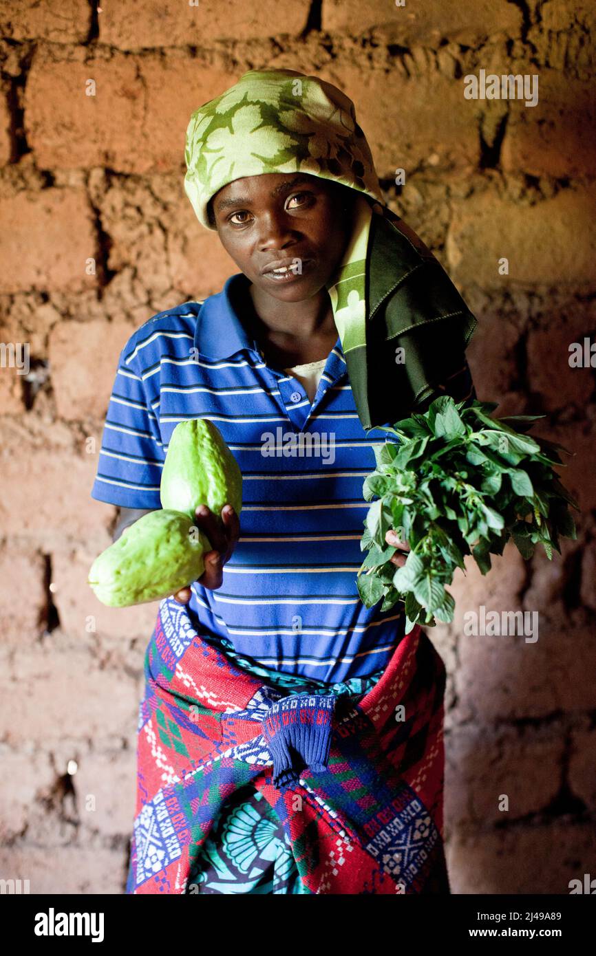 Gemüse wurde kürzlich von Gertude Bambazimama, 32, geerntet. Ihr und ihr Mann Jean Bachimas Mbarushimana, 36, haben drei Kinder, Eric Niyonsenga, 11, Nishimwe, 7, und Irakiza, 5. Bukinga Village, Ruganga Cell, Bezirk Gakenke. Nach der Teilnahme an dem Programm kaufte er einen Wald mit den Erträgen aus der Landwirtschaft und der Tierzucht. Die Familie isst jetzt regelmäßig und nimmt Gemüse in jede Mahlzeit ein. Er bereitet den Boden für ein neues Haus vor. Foto von Mike Goldwater Stockfoto