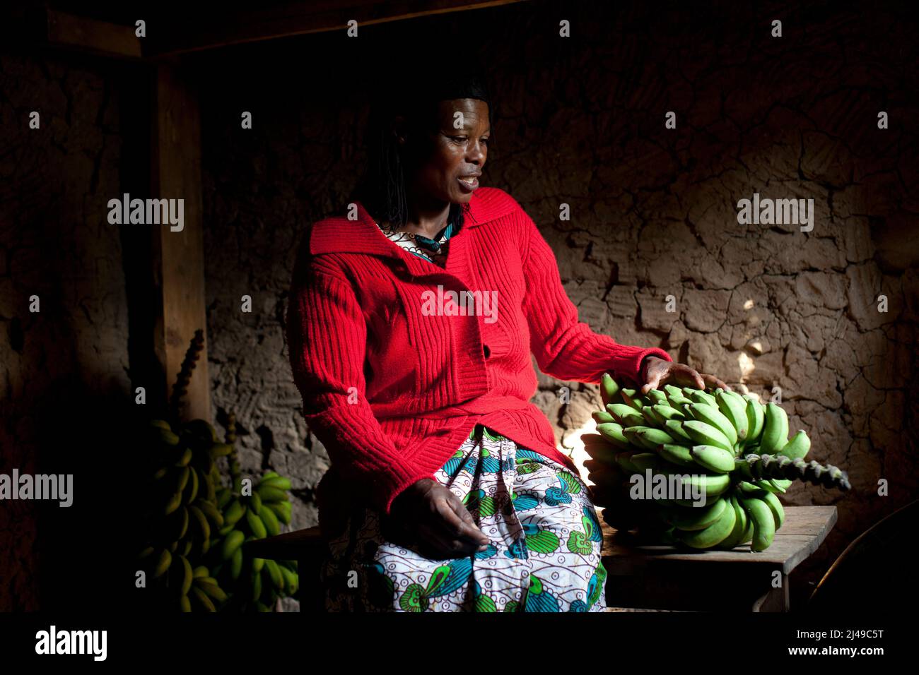 Genevieve, Manishimwe, 40, Dorf Nyange, Murambi-Zelle, Gakenke disrict. Ihr Mann wurde beim Völkermord getötet, sie hat vier Kinder, darunter Diane, 7 Jahre alt. Sie ist HIV-positiv. Bevor sie sich dem Programm anschloss, zog sie von Ort zu Ort, weil sie kein Haus hatte und oft hungrig war. Mit dem Erlös ihrer Landwirtschaft nach dem Training aus dem Programm hat sie sich nun ein Haus gebaut. Sie kaufte drei Parzellen Land, eine Kuh und zwei Schweine. Foto von Mike Goldwater Stockfoto