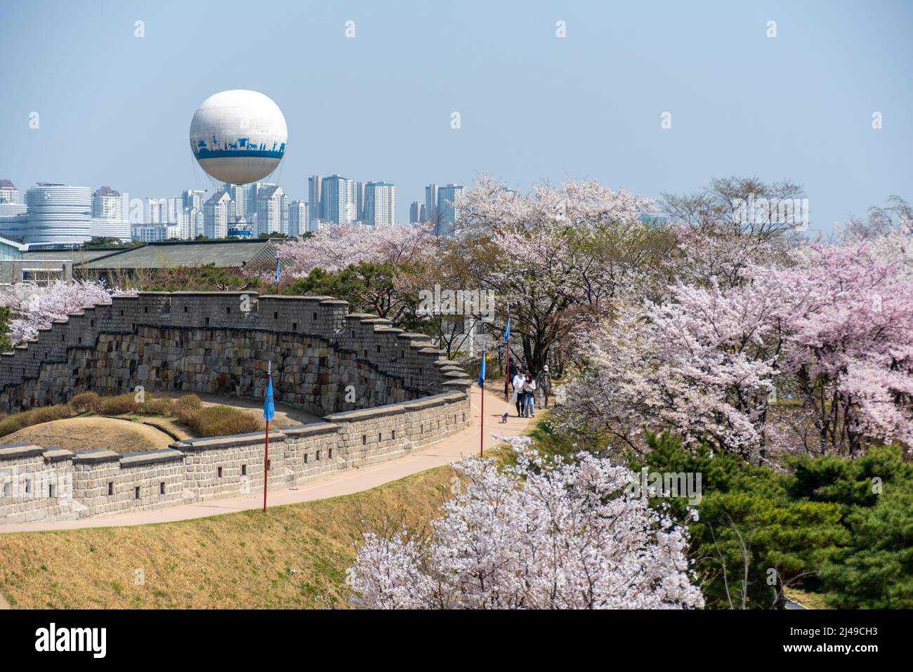 Festung Hwaseong in Suwon Südkorea am 10. April 2022 Stockfoto